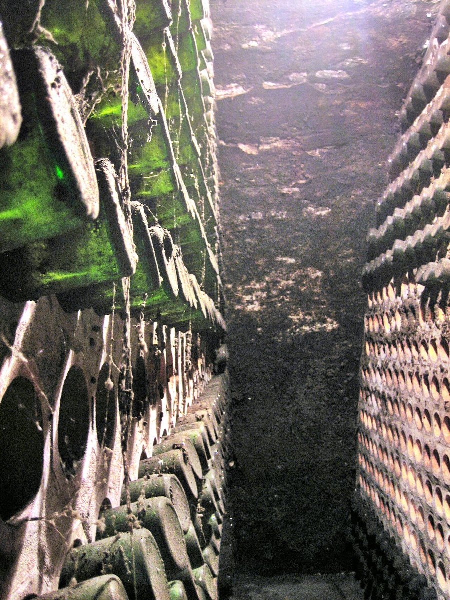 Weinlandschaft in Croatia
