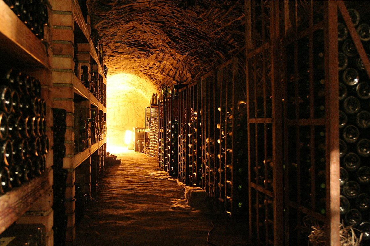 Weinlandschaft in Czech Republic