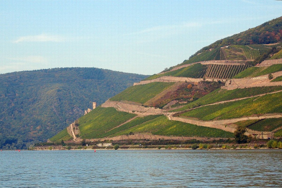 Wine landscape in Germany
