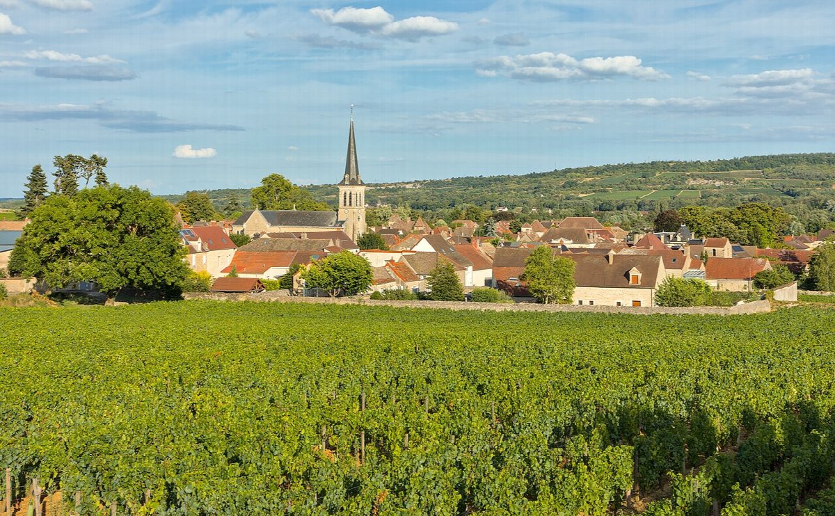 Viñedos de Santenay