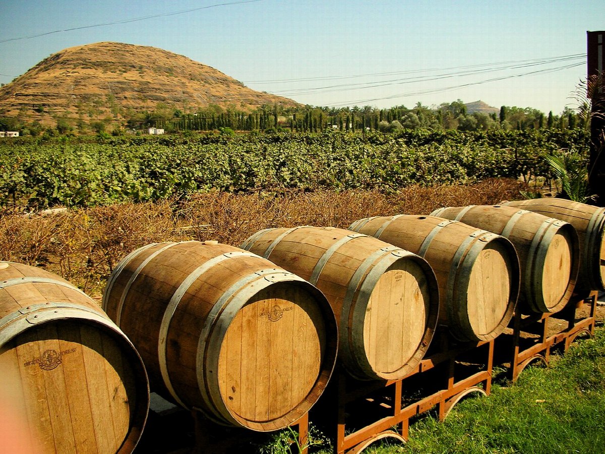 Weinlandschaft in India