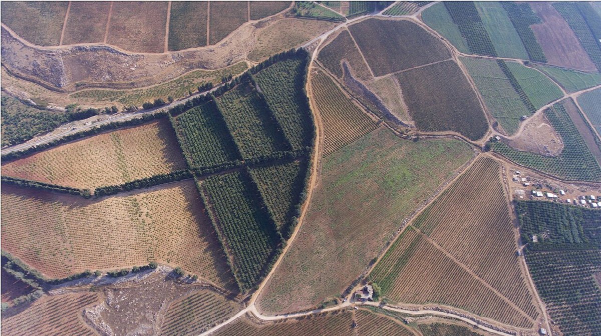 Weinlandschaft in Lebanon