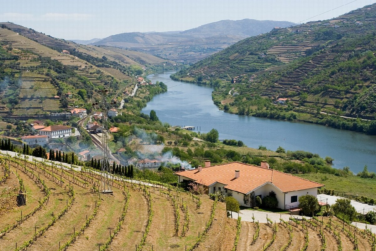 Vineyards in Douro