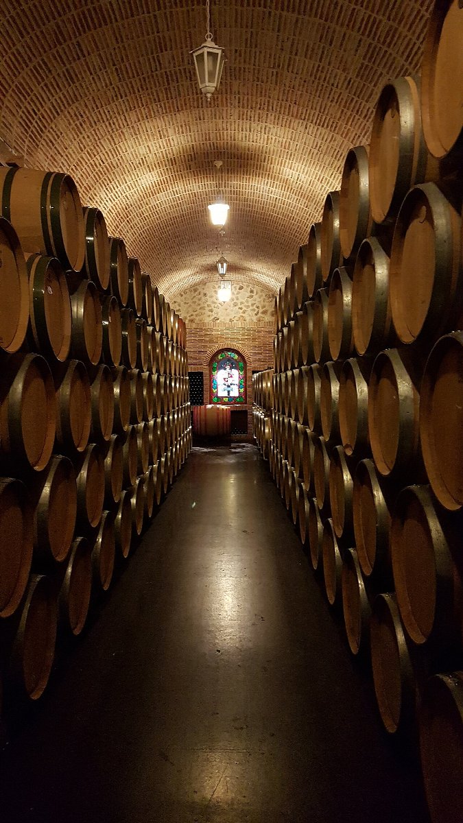 Vineyards in Ribera del Duero