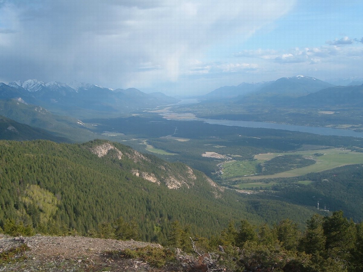 Viñedos de Columbia Valley