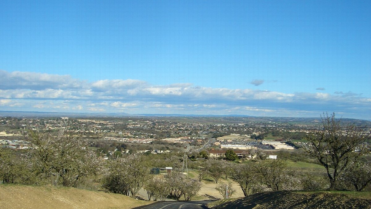 Weinberge in Paso Robles