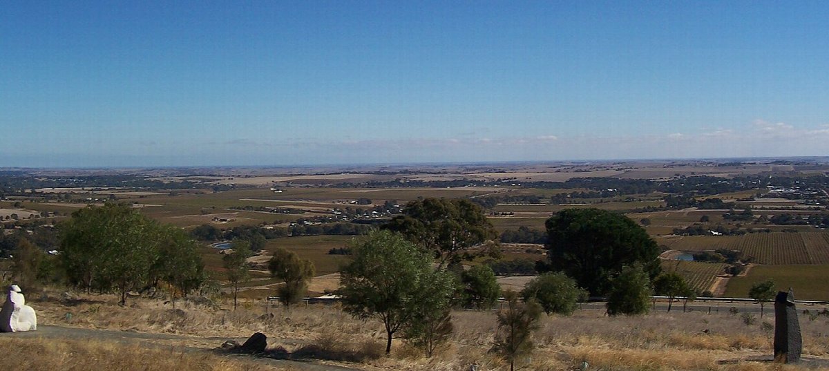 Weinberge in South Australia
