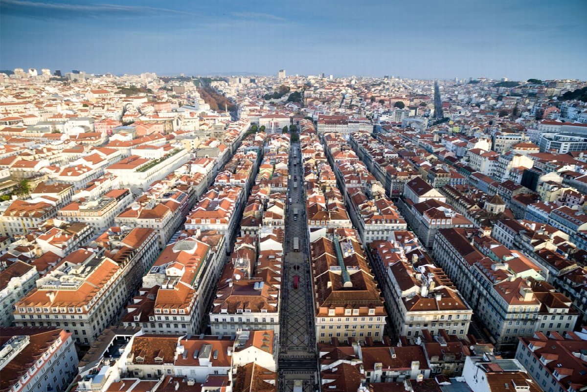 Vineyards in Lisboa