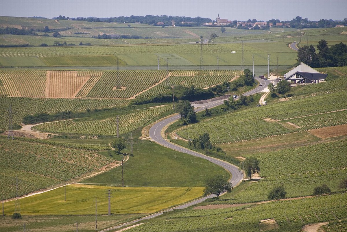 Vignobles en Sancerre