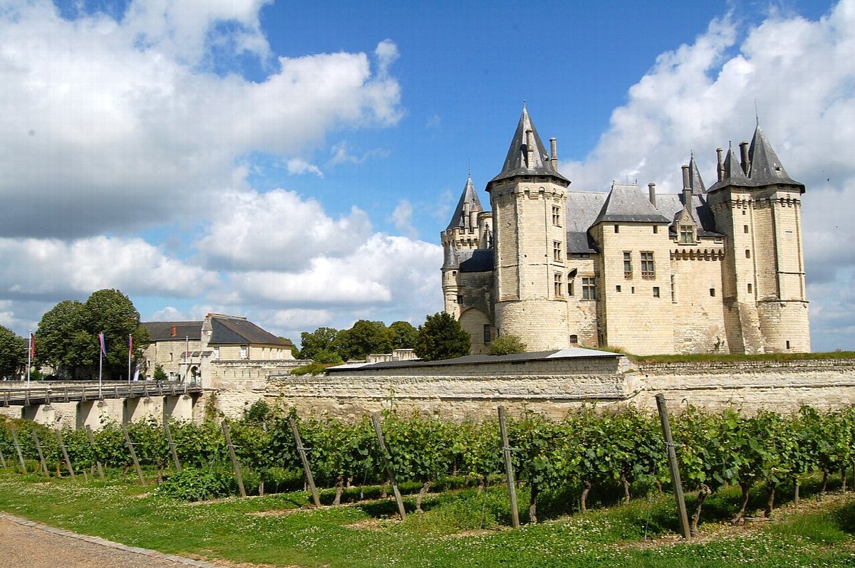 Weinberge in Loire Valley