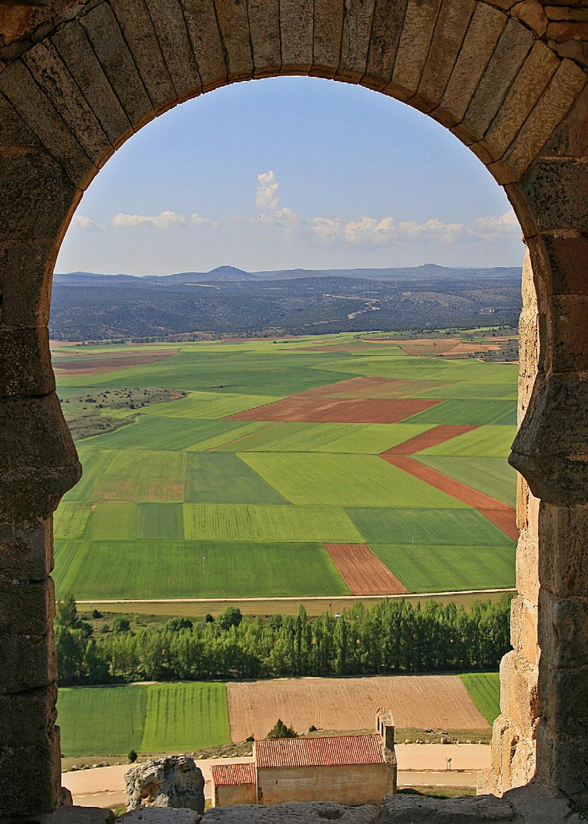 Weinberge in Castilla y León