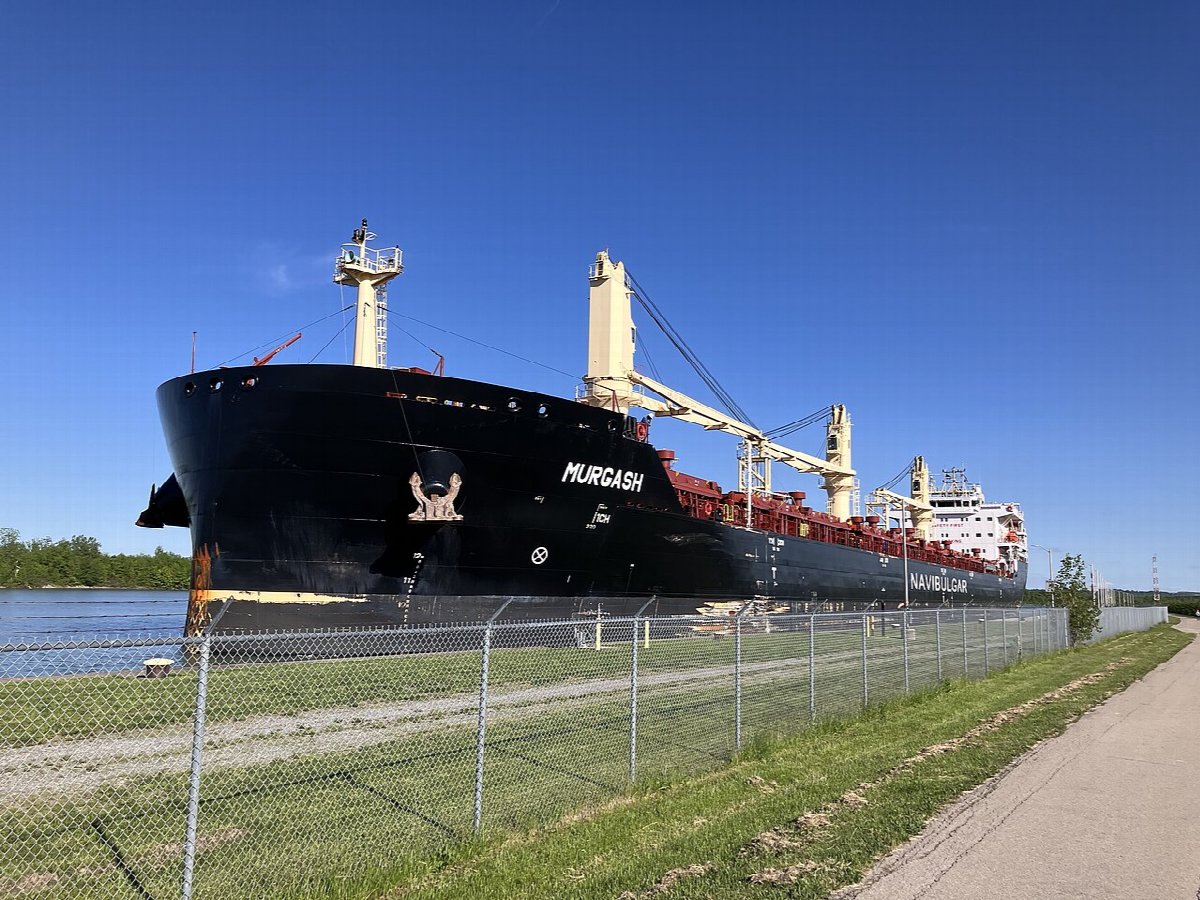 Wijngaarden in Niagara Peninsula