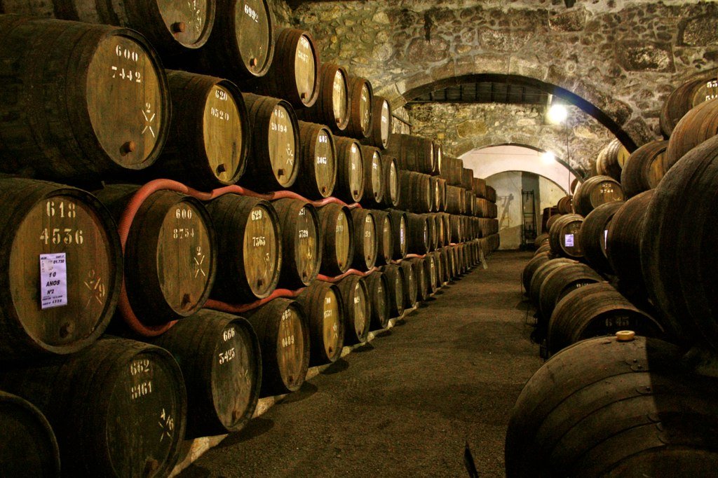 Weinlandschaft in Portugal