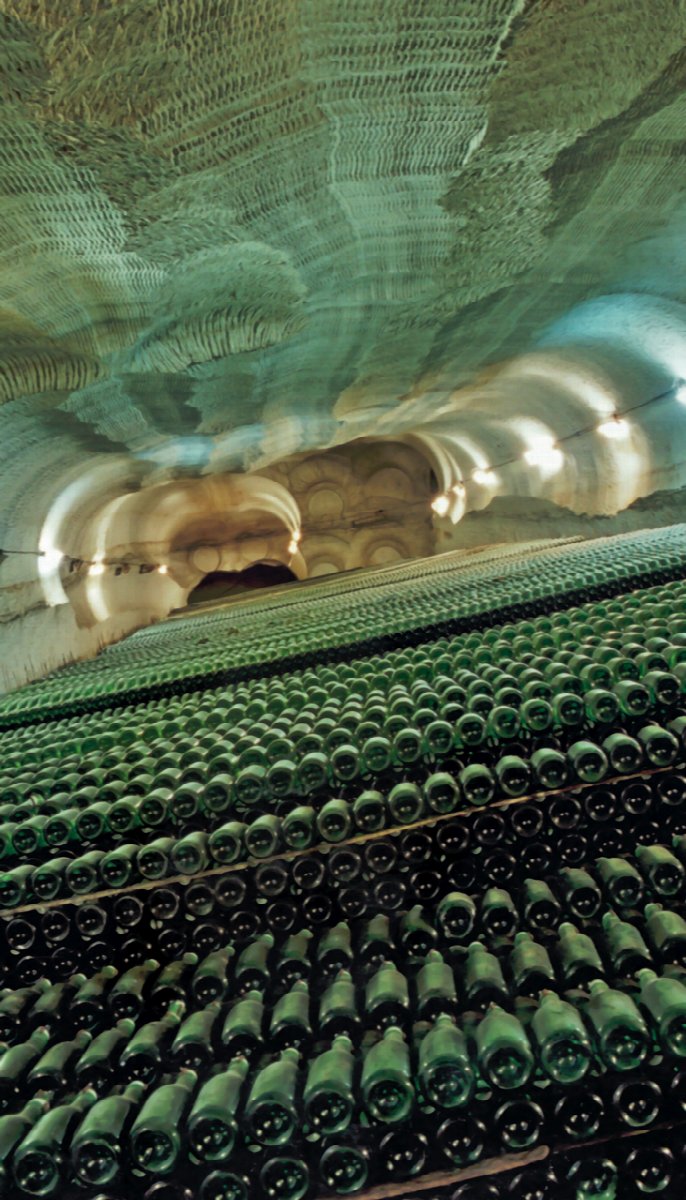 Weinlandschaft in Ukraine